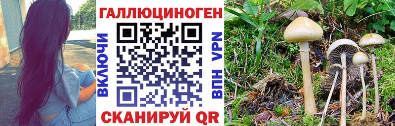 Купить закладки  Агрыз  Галлюциногенные грибы мицелий 